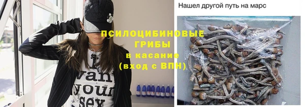 дмт Арсеньев